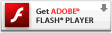 Flash icon